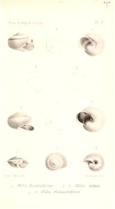 n506_w1150