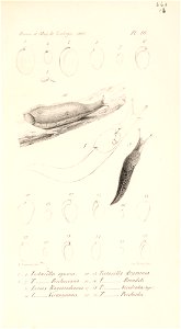 n624_w1150