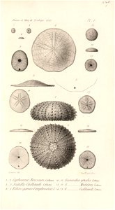 n590_w1150