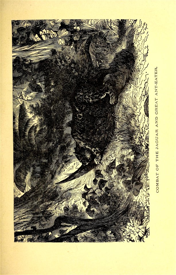 n176_w1150