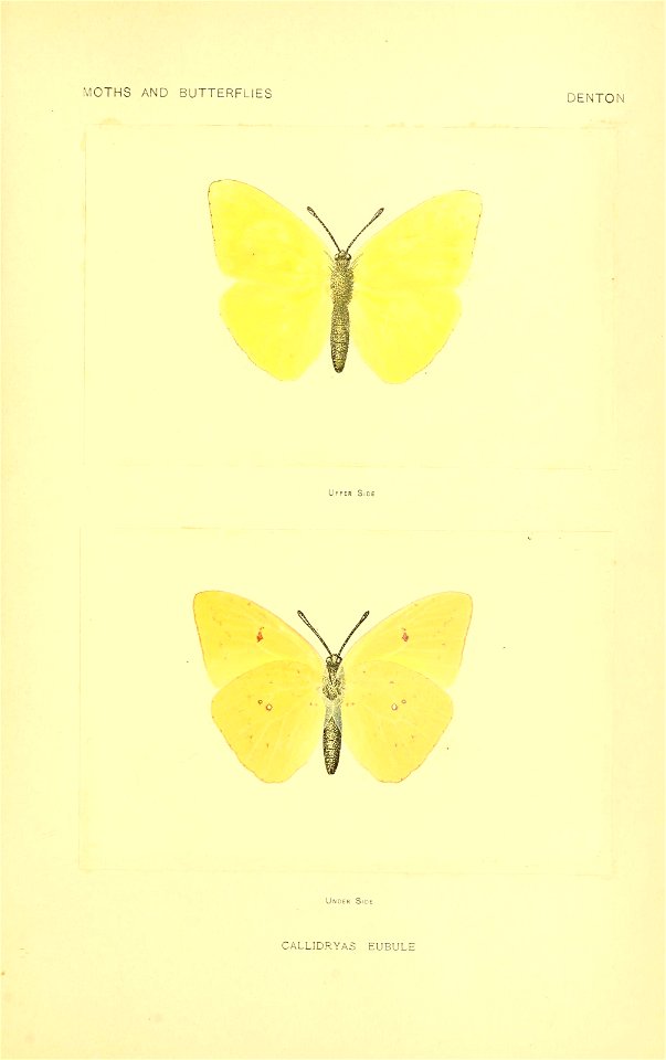 n244_w1150