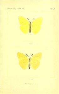n244_w1150