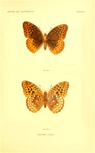 n194_w1150