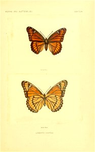 n120_w1150