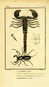 n121_w1150