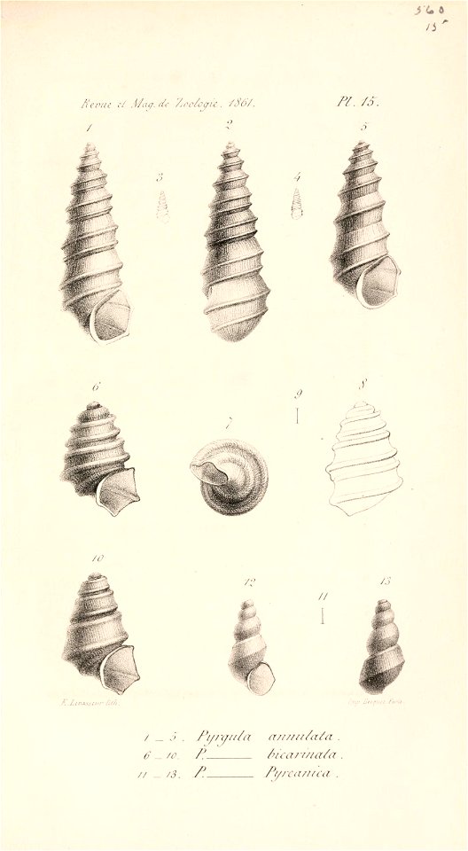 n622_w1150