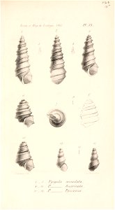 n622_w1150