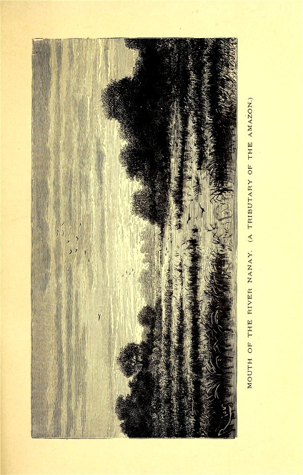 n298_w1150