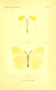 n240_w1150