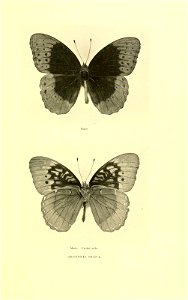 n190_w1150