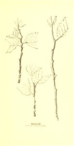 n46_w1150