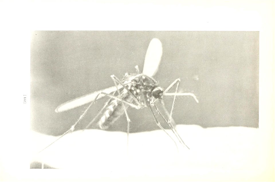 n155_w1150