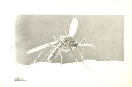 n155_w1150