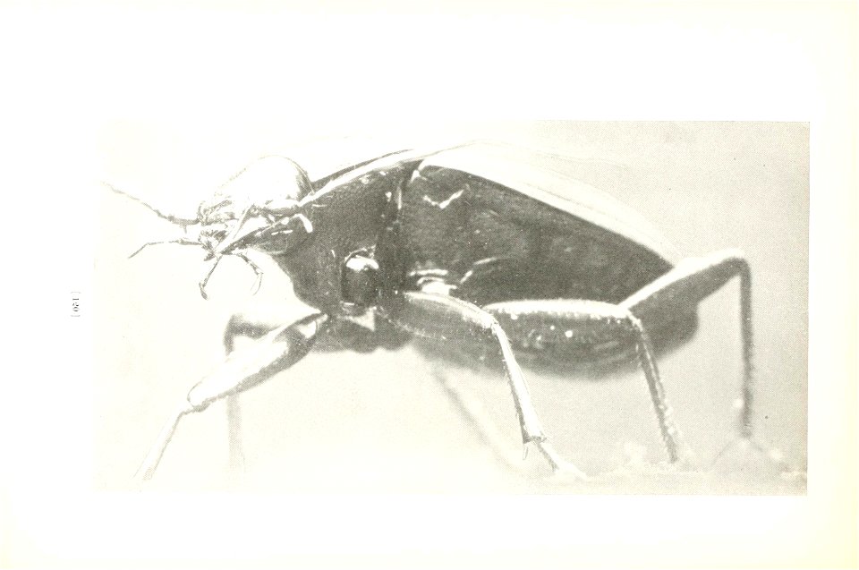 n123_w1150