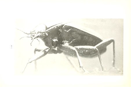 n123_w1150
