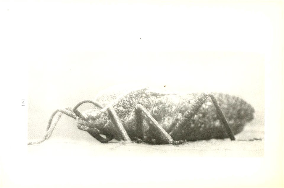 n91_w1150