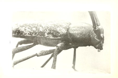 n121_w1150