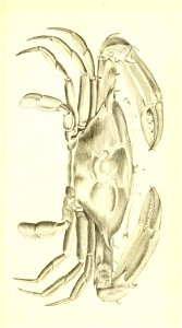 n410_w1150