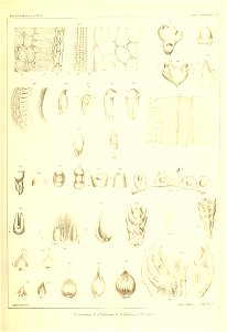 n698_w1150