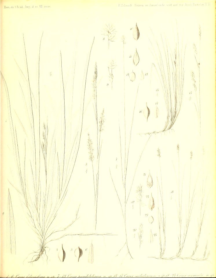 n664_w1150