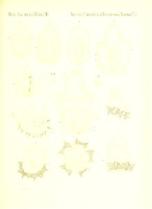 n710_w1150
