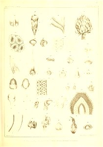 n696_w1150