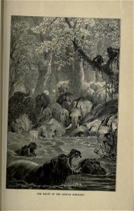 n586_w1150