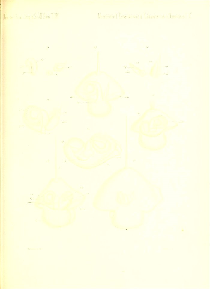 n708_w1150
