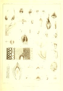 n694_w1150