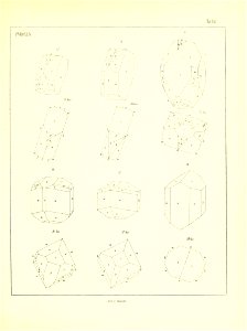 n816_w1150