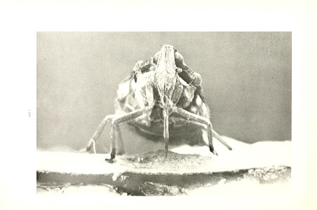 n111_w1150