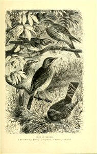 n508_w1150
