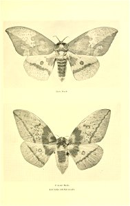 n122_w1150