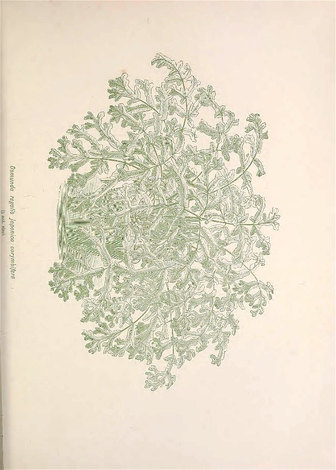 n194_w1150
