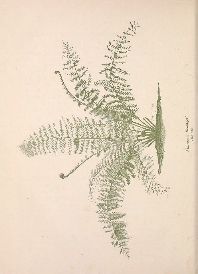 n67_w1150
