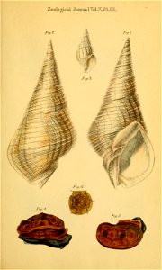 n514_w1150