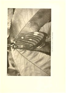 n370_w1150