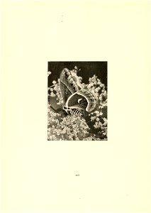 n13_w1150