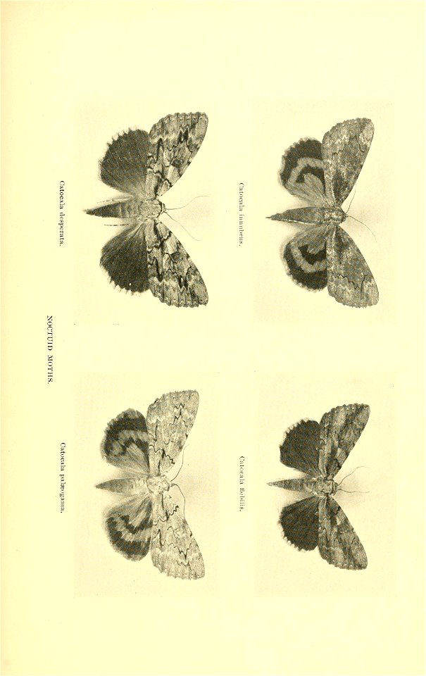 n94_w1150