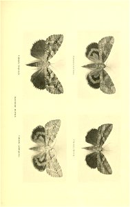n94_w1150