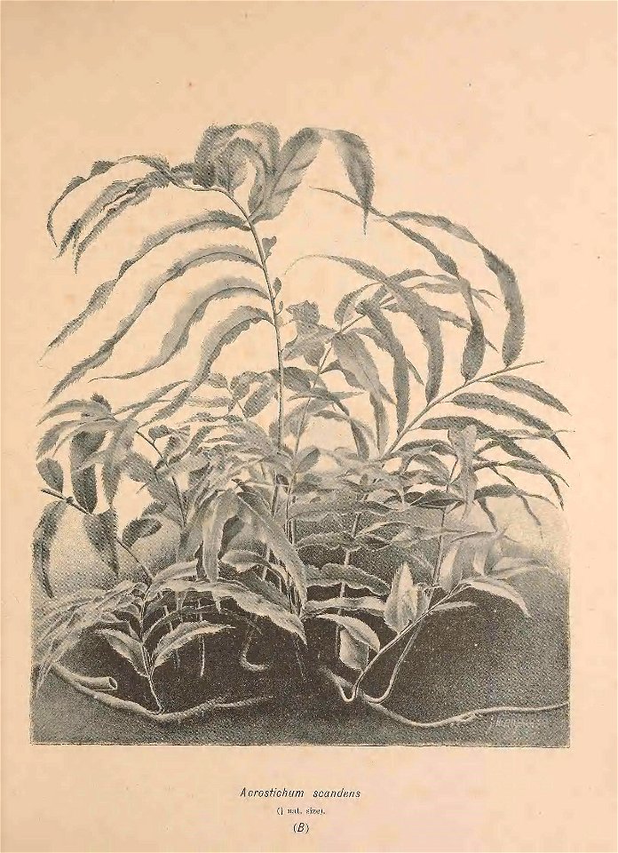 n304_w1150