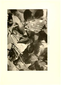 n364_w1150