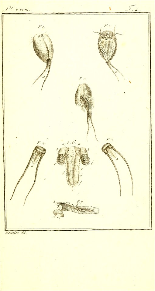 n468_w1150