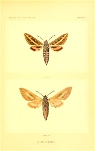 n186_w1150