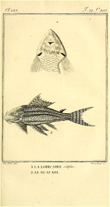 n112_w1150