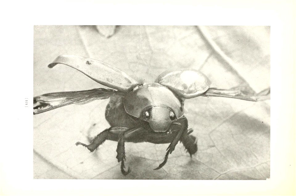 n127_w1150