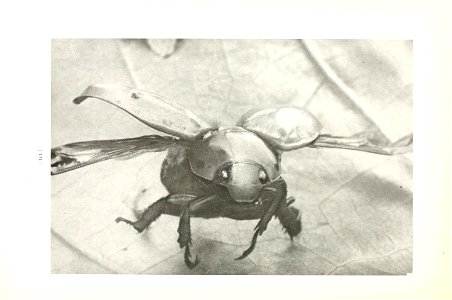 n127_w1150