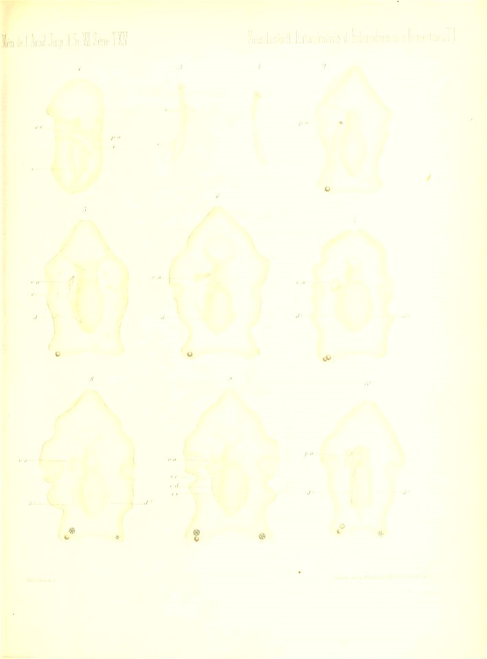 n690_w1150