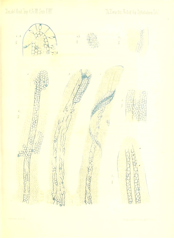 n200_w1150