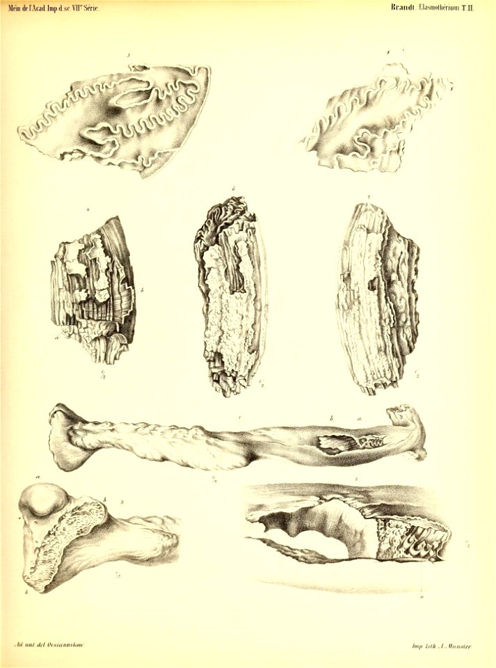 n232_w1150